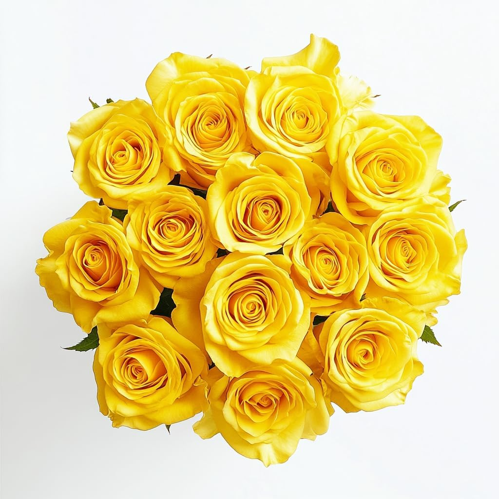 Roses - Yellow