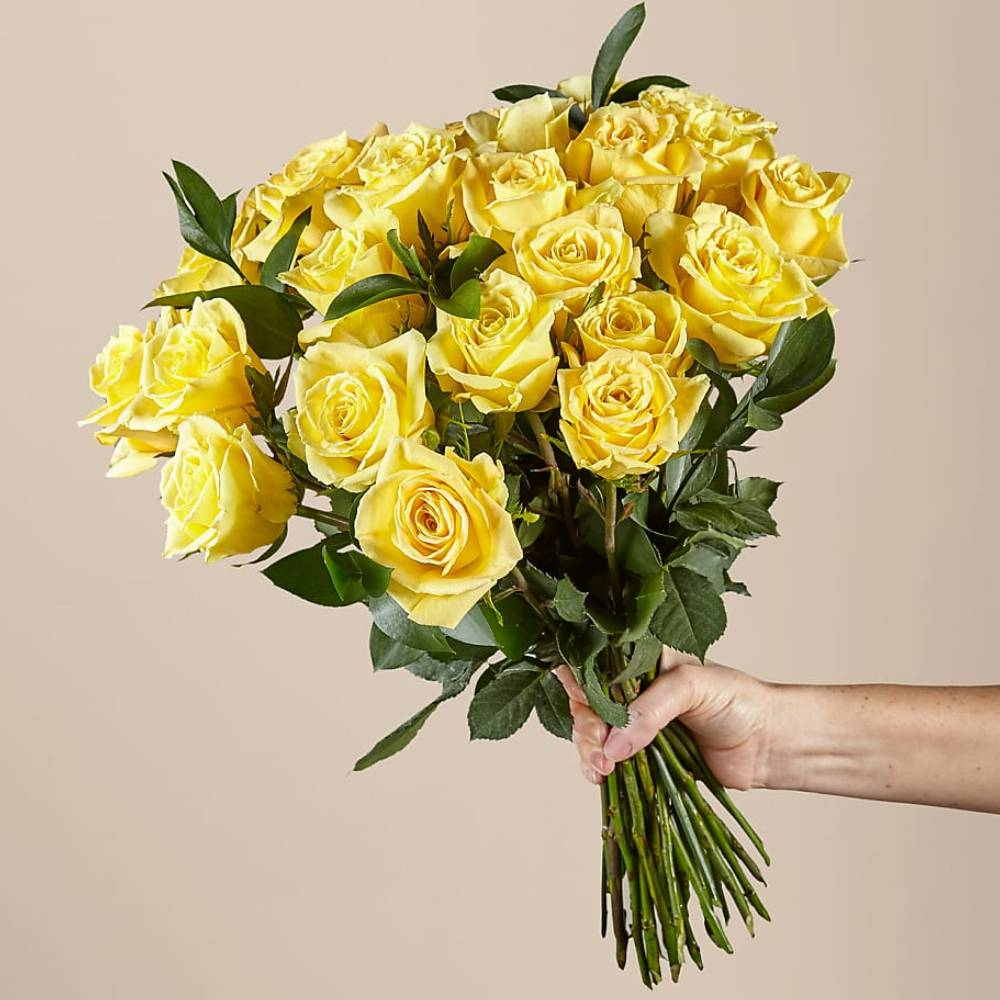 Roses - Yellow