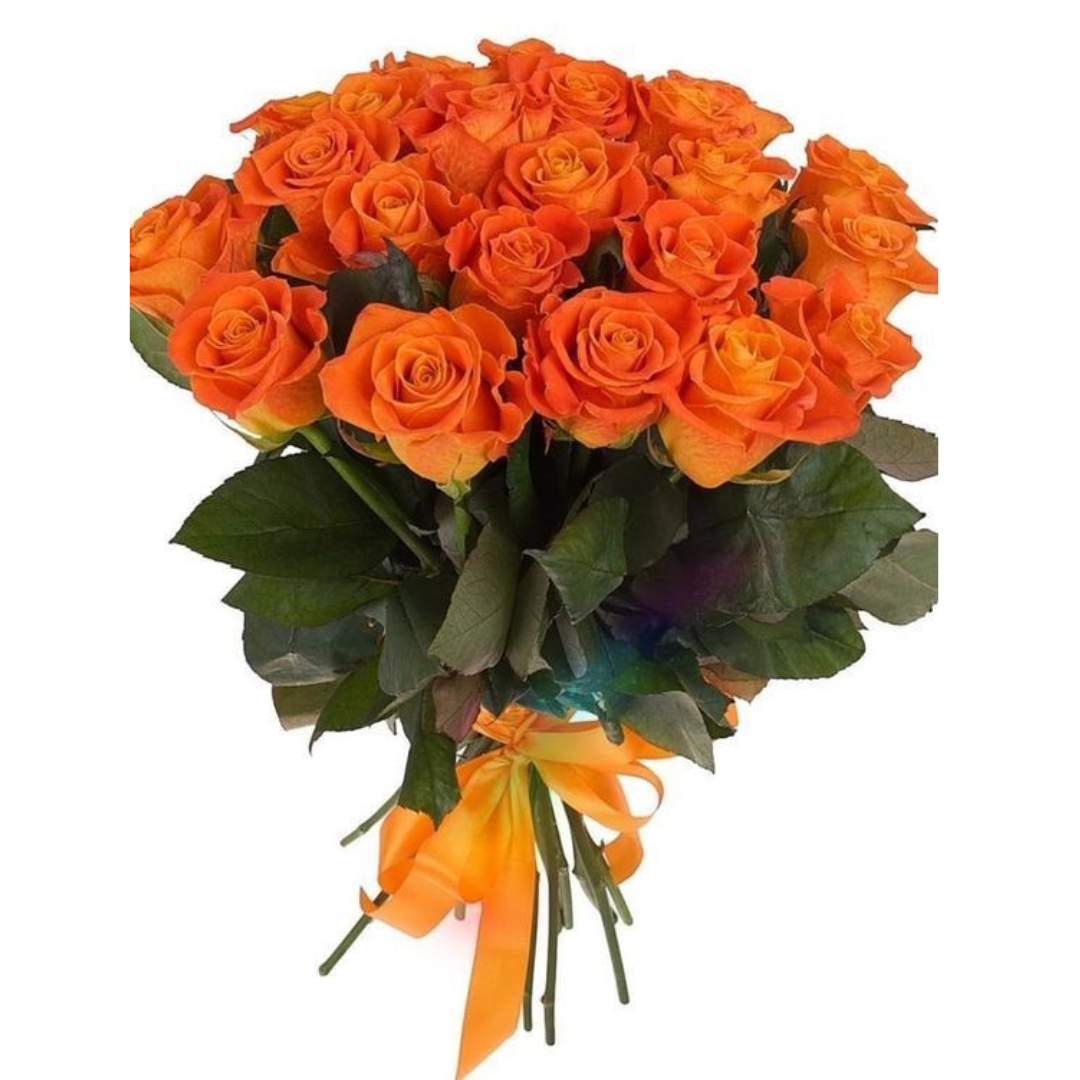 Roses - Orange
