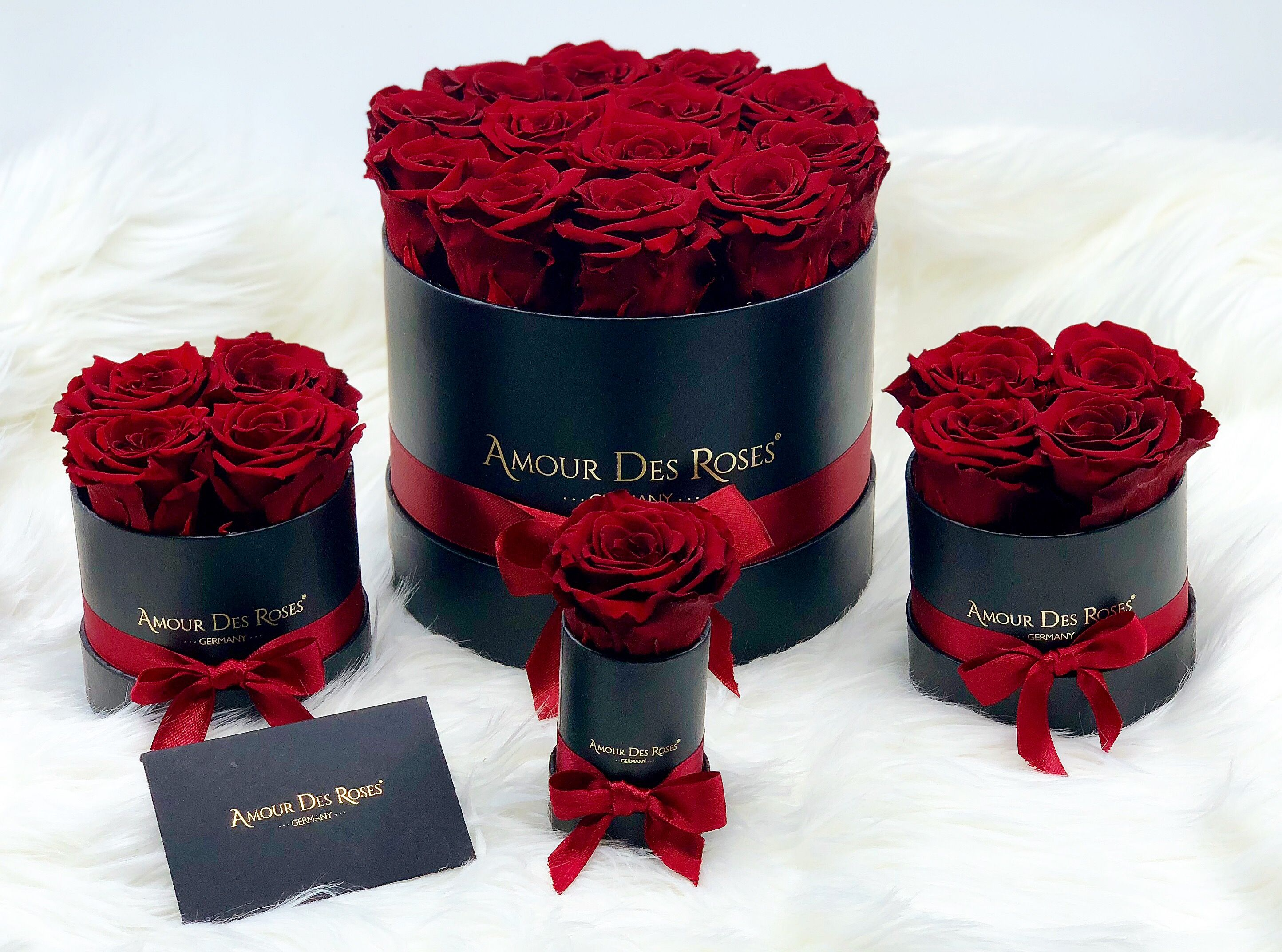 All-Red Roses Luxury Box