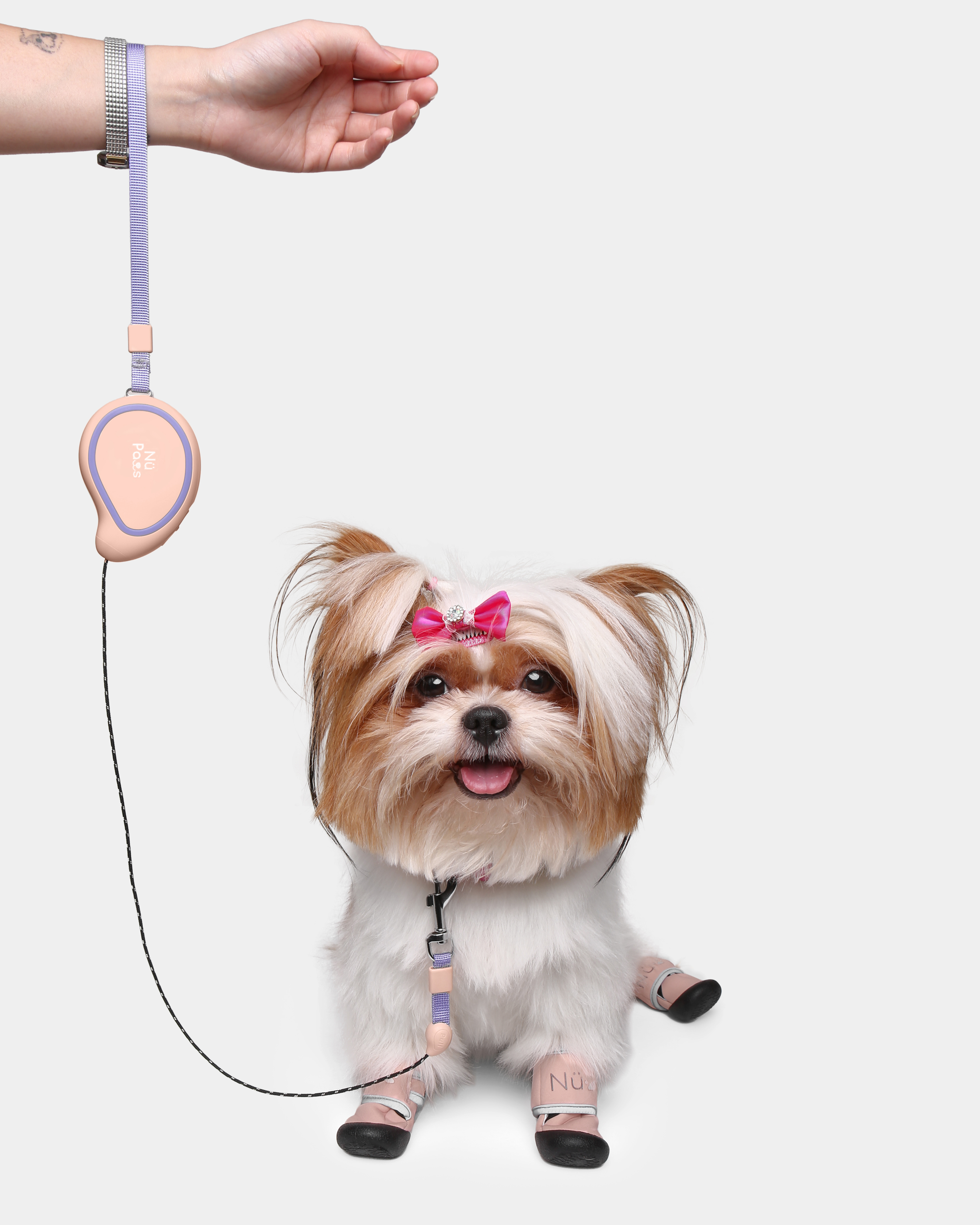 Nü GoLeash in Steel Sky