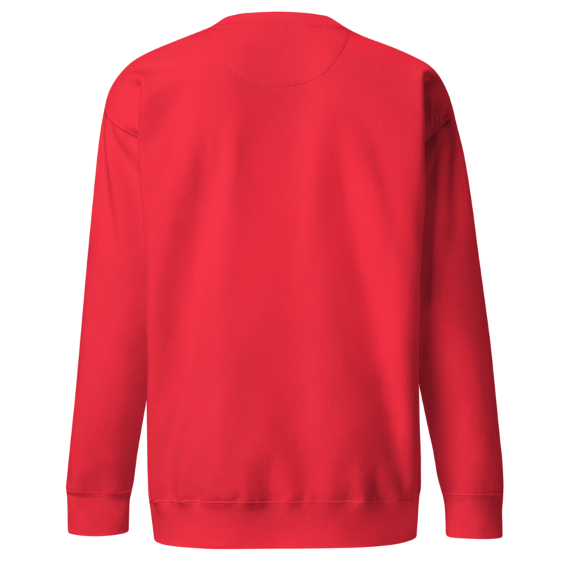 RAKETEN Herren - Pullover