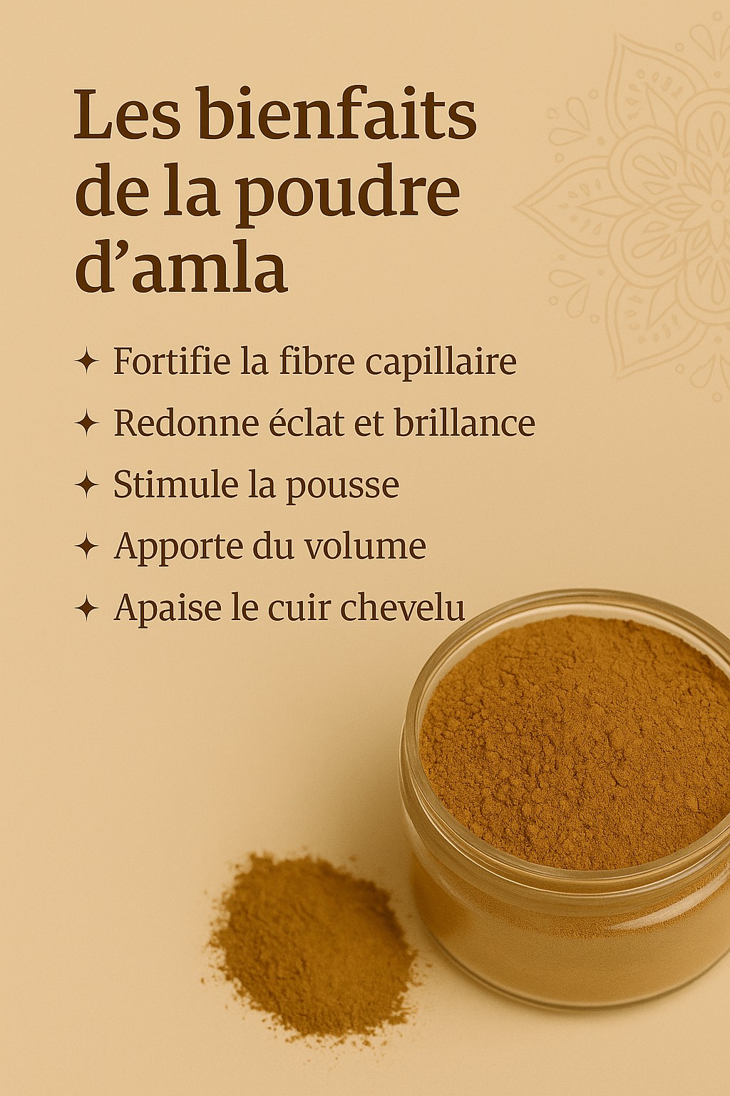 Poudre d’Amla Bio – Soin Capillaire Ayurvédique Naturel – Brillance & Volume – Cheveux Secs, Ternes ou Cassants