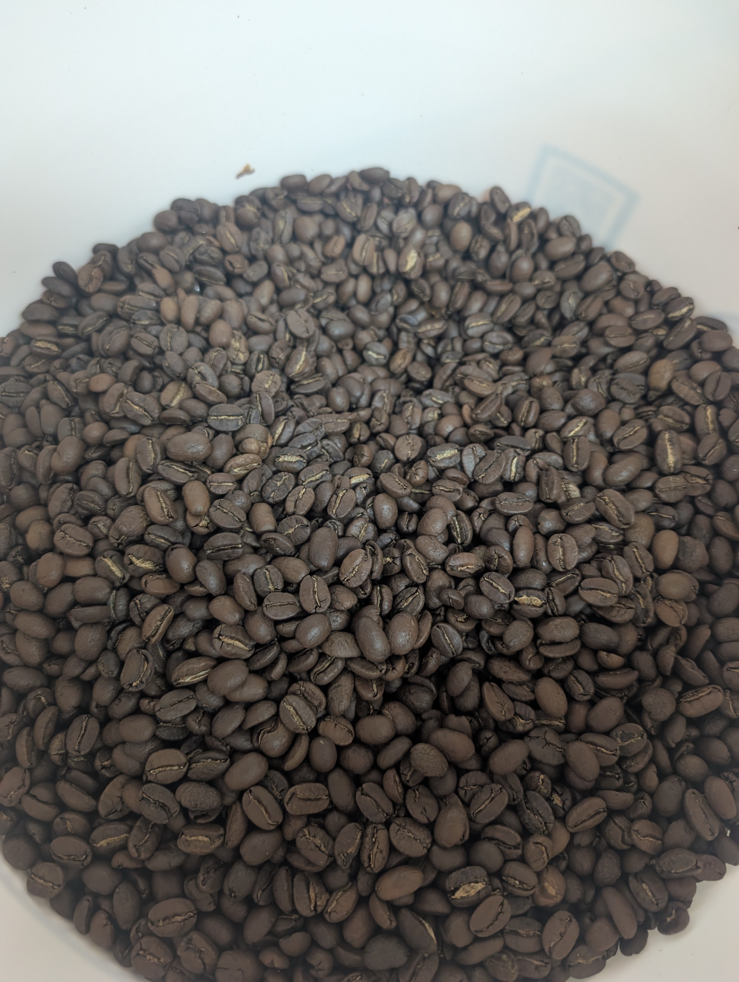 The Loop-Honduras Siguatepeque Cerro Azul SHG EP Medium Roast