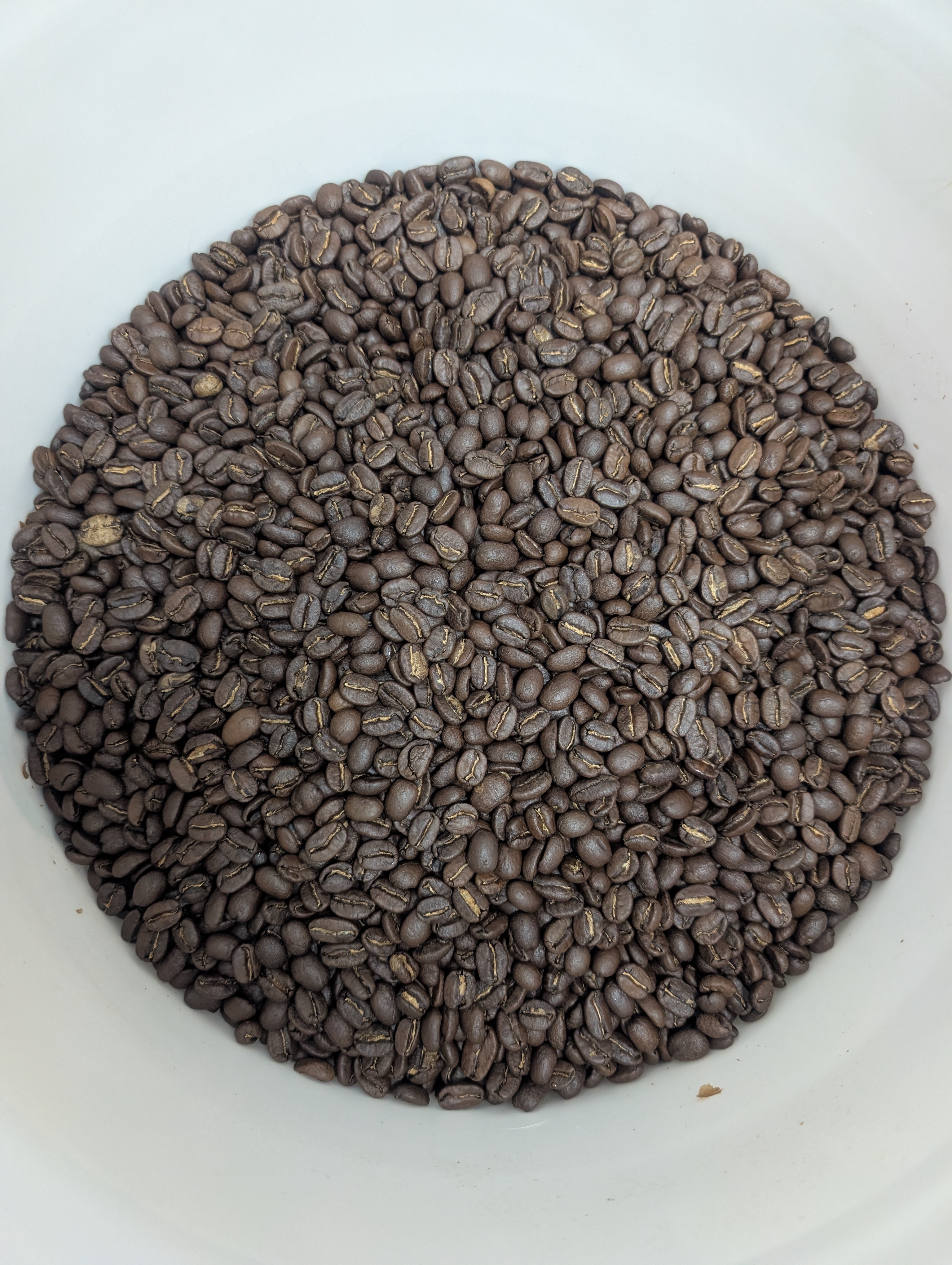 Gingerbread Holiday Coffee – Medium Roast Nicaraguan, Spiced Gingerbread Flavor, 4 oz Sample