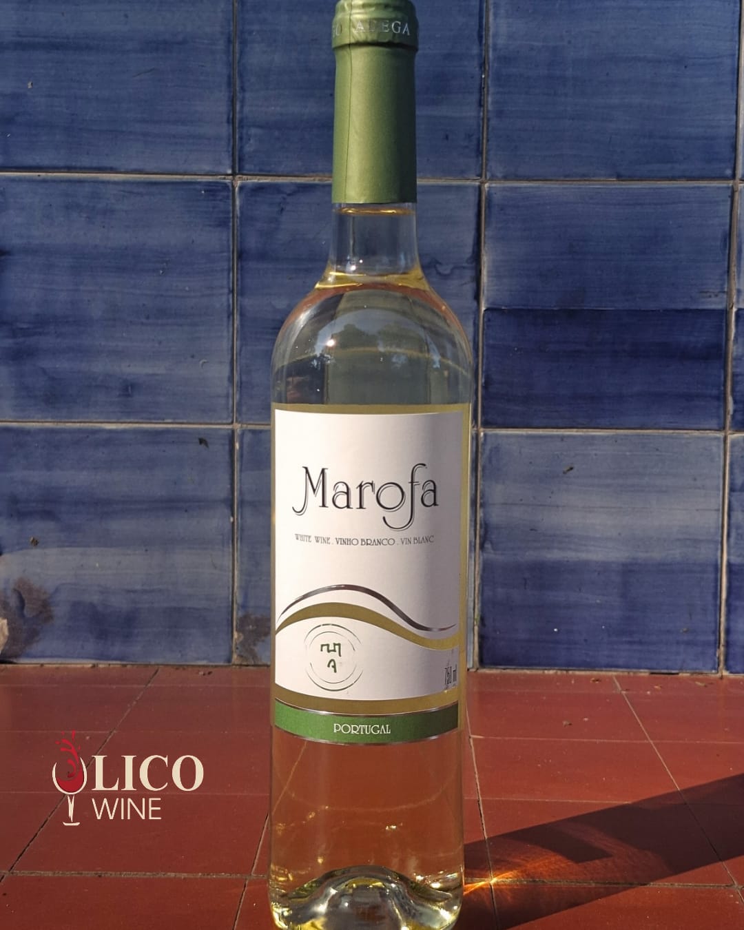 Marofa Branco - Catelo Rodrigo 