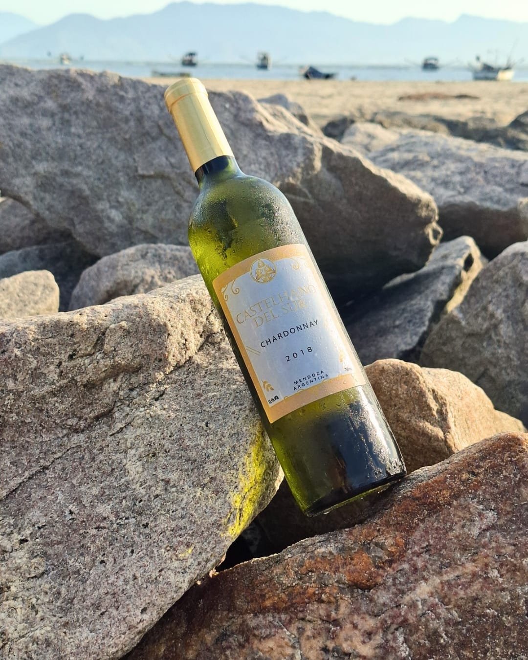 Castelhano Del Sur - Chardonnay 2018