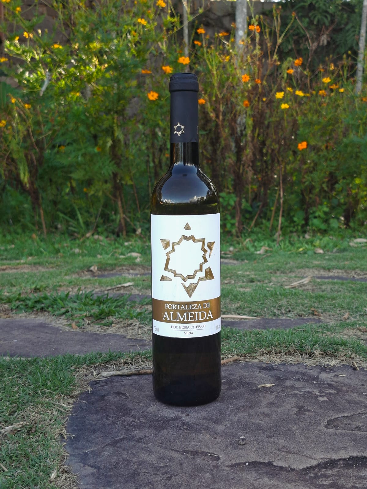 Fortaleza de Almeida - Síria