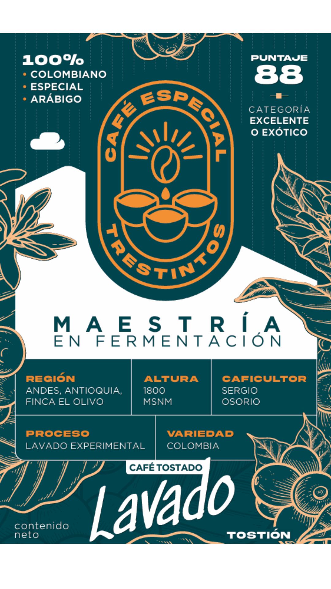 Trestintos Lavado 500 Gr