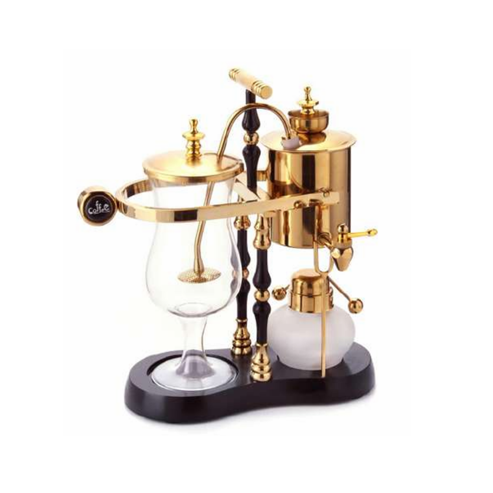 Sifón Belga Oro-Dorado (3–6 tazas)