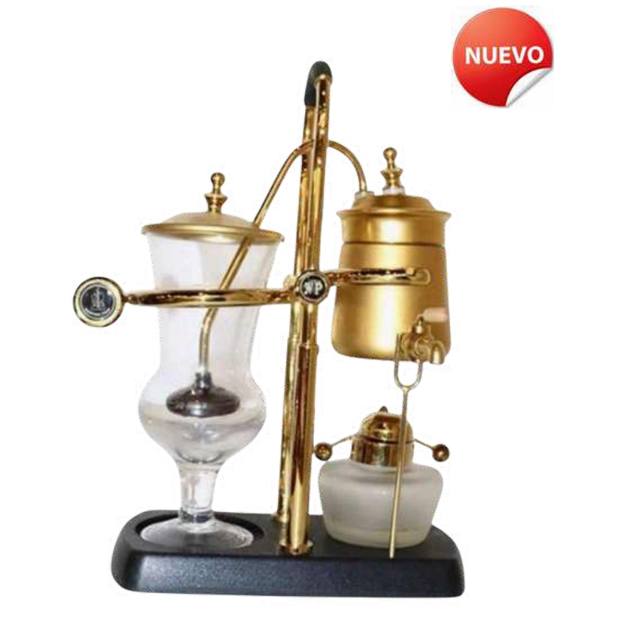 Sifón Belga Oro-Dorado (3–6 tazas) versión 2