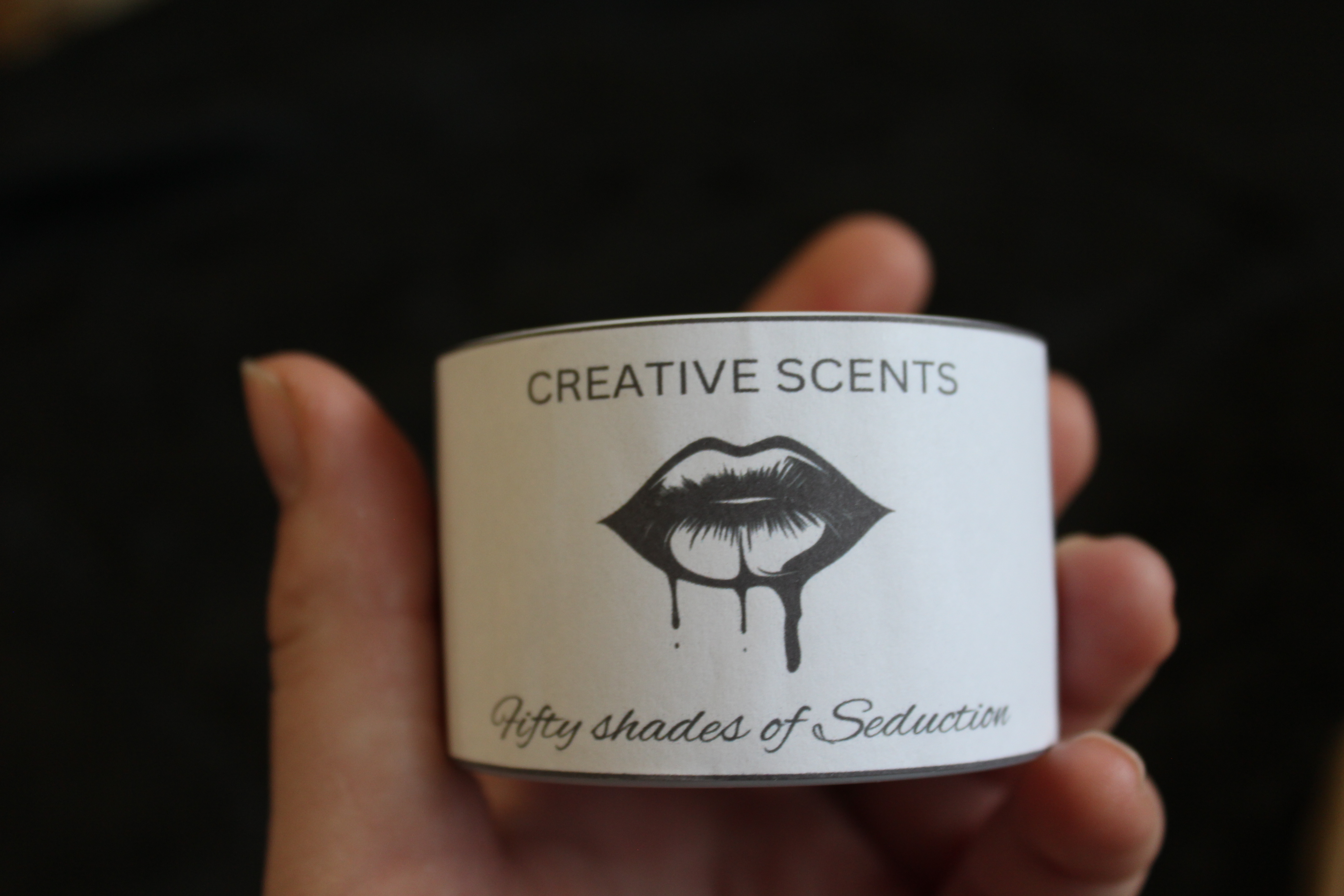 Fifty Shades Of Seduction 