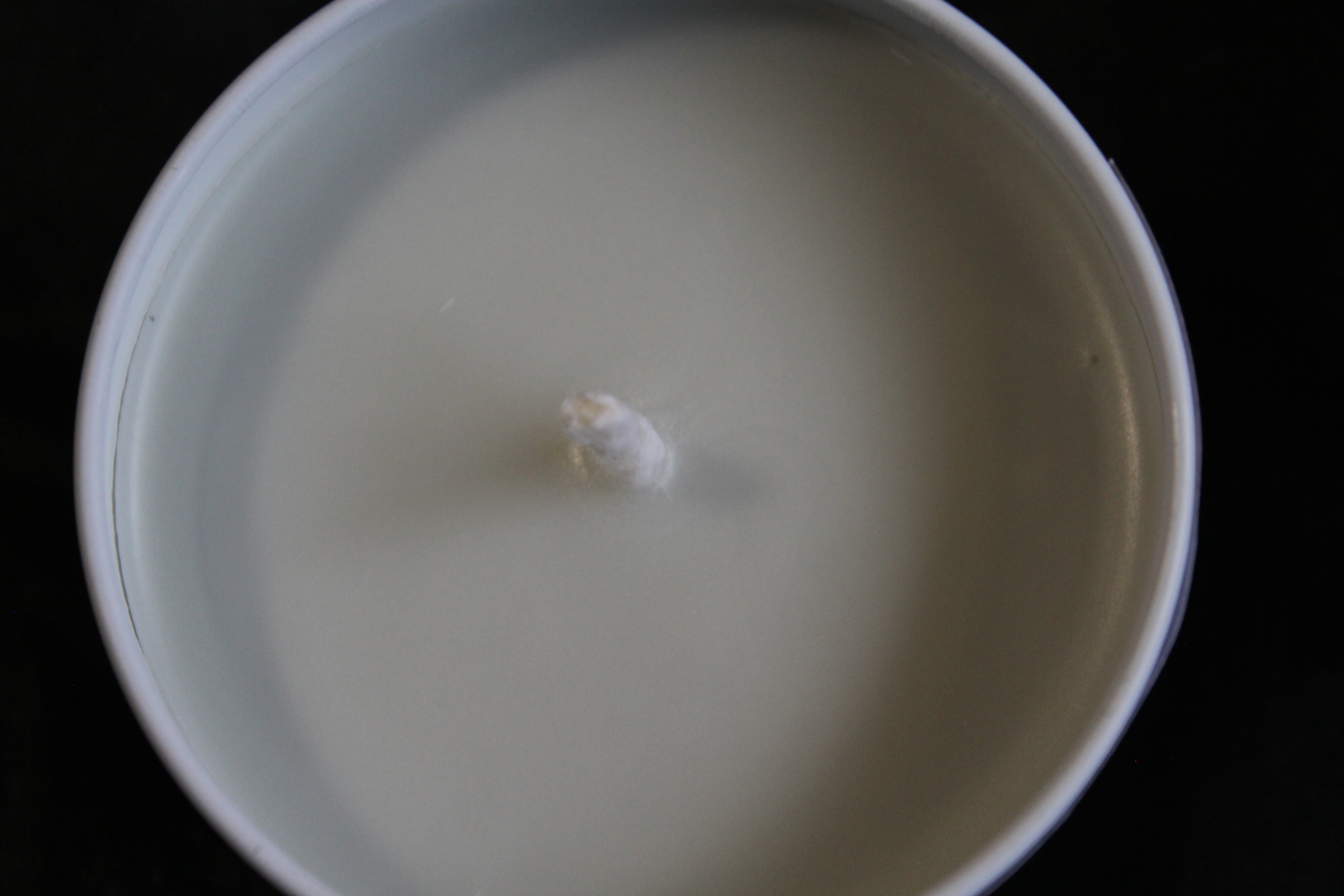 Fifty Shades Of Seduction 