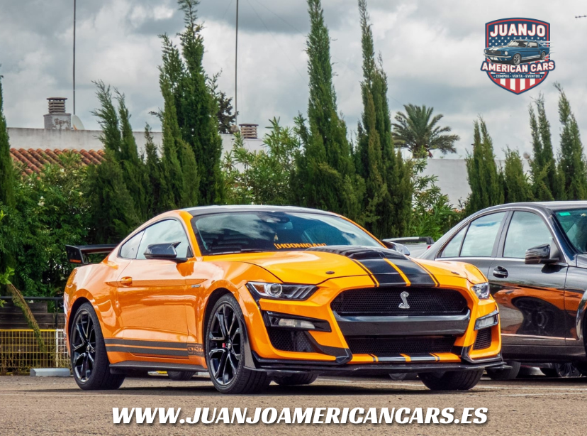Ford Mustang V8 5.0 (2015): Potencia Americana con Estética de Competición