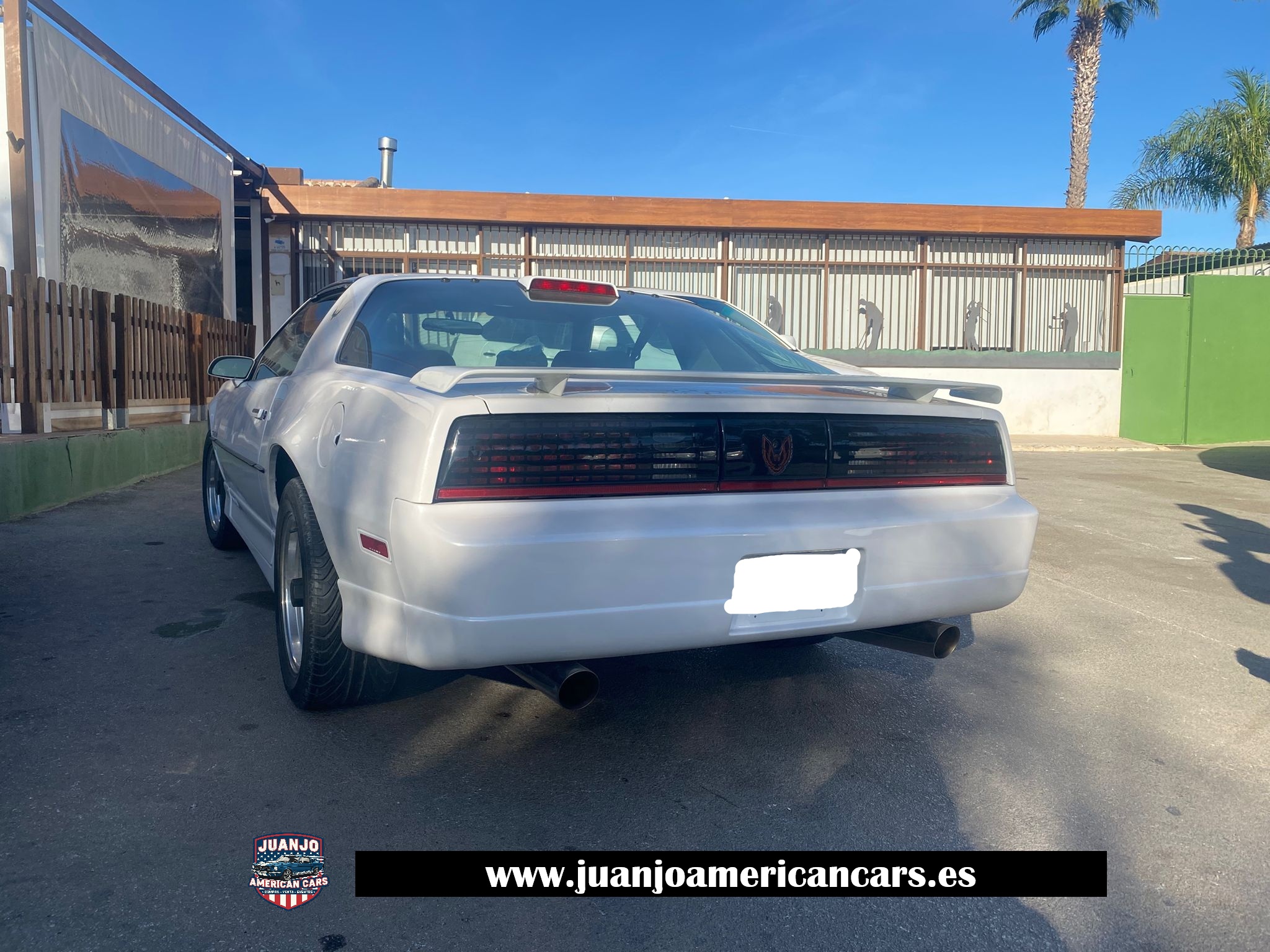 Pontiac Firebird Trans Am 5.0 V8 (1986) 
