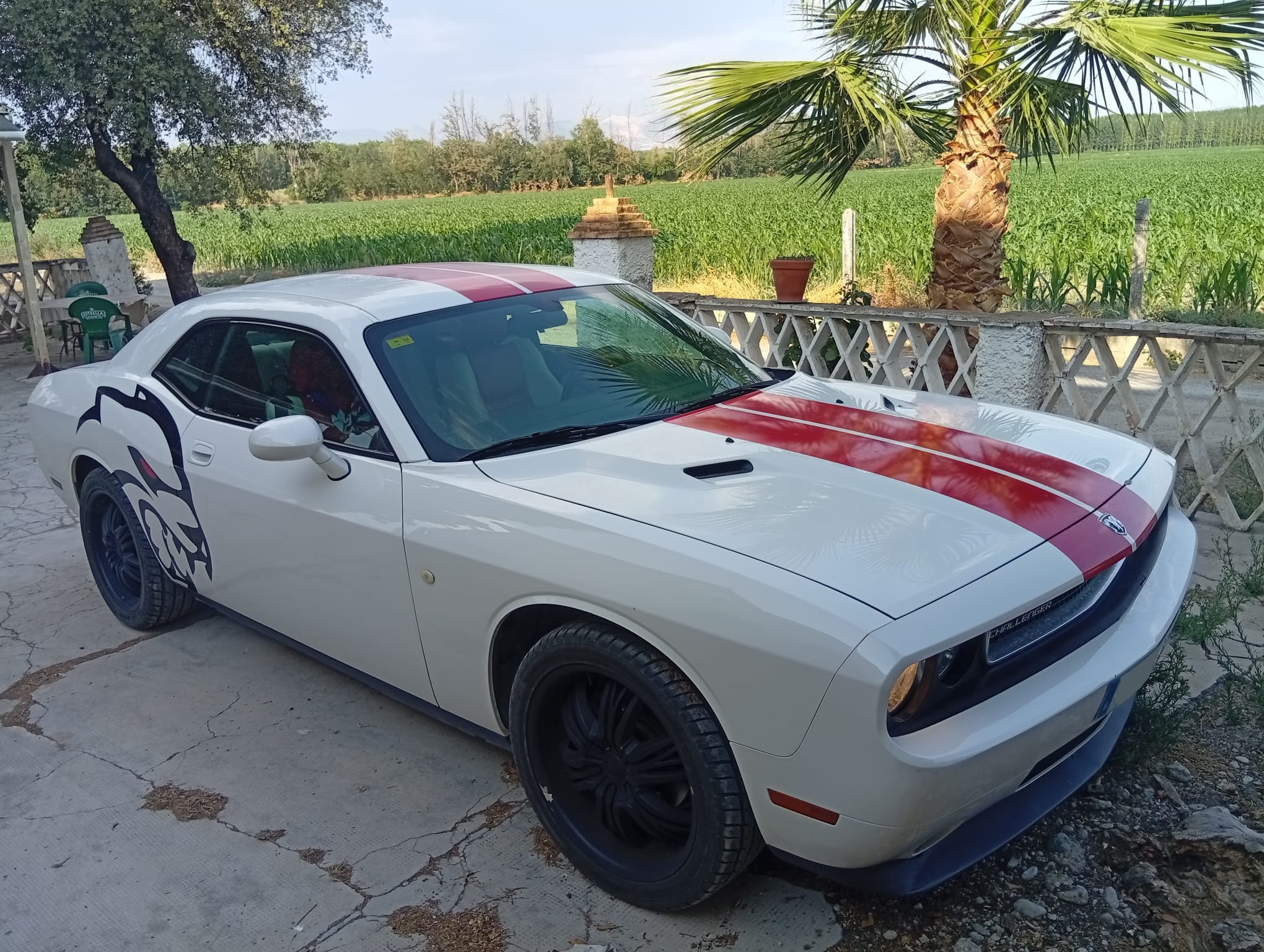  Dodge Challenger