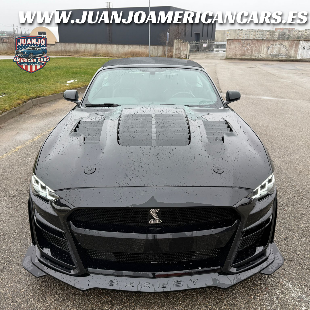 Ford Mustang GT Cabrio 5.0 V8 (2020) - Ocasión