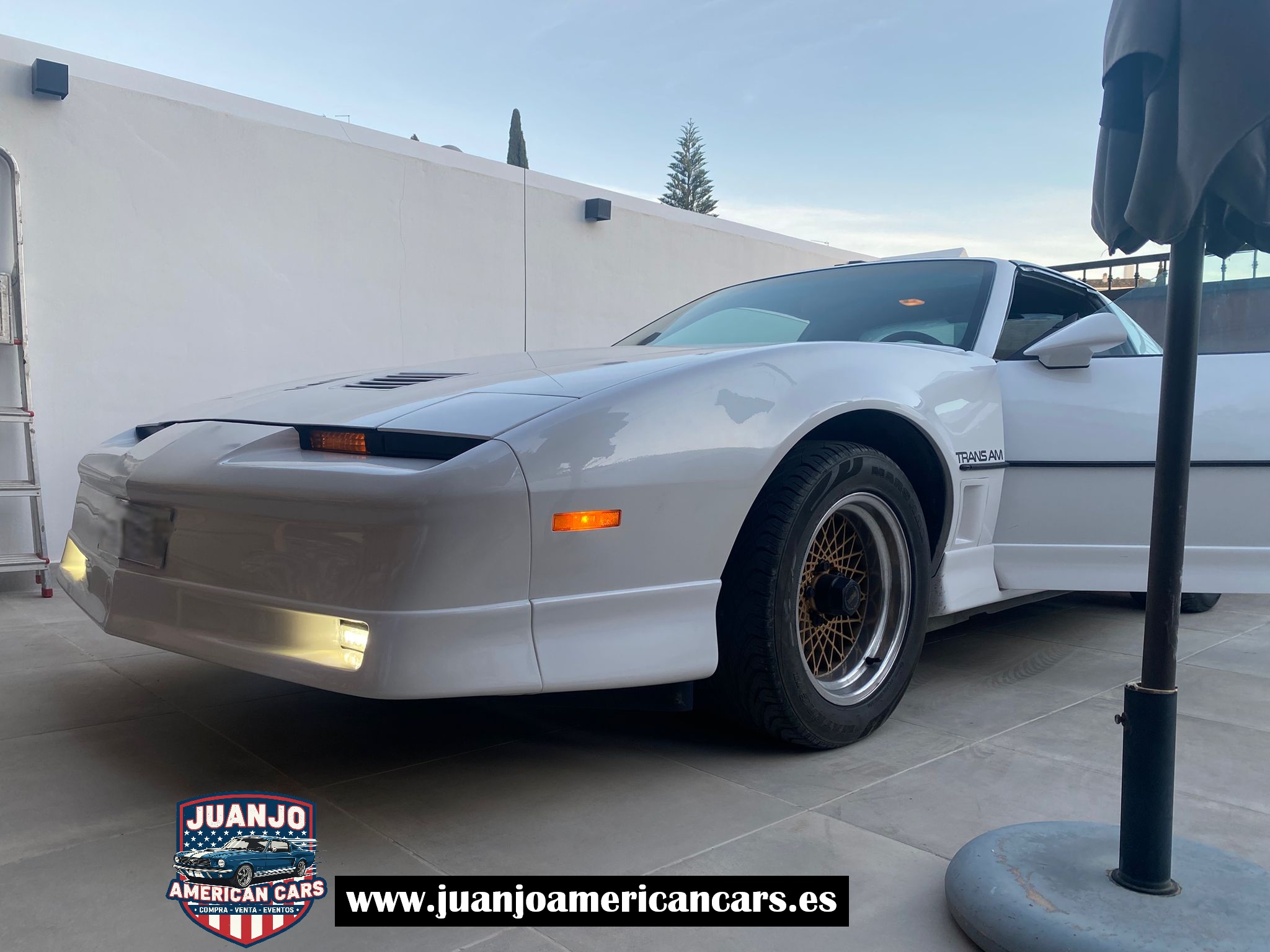 Pontiac Firebird Trans Am 5.0 V8 (1986) 