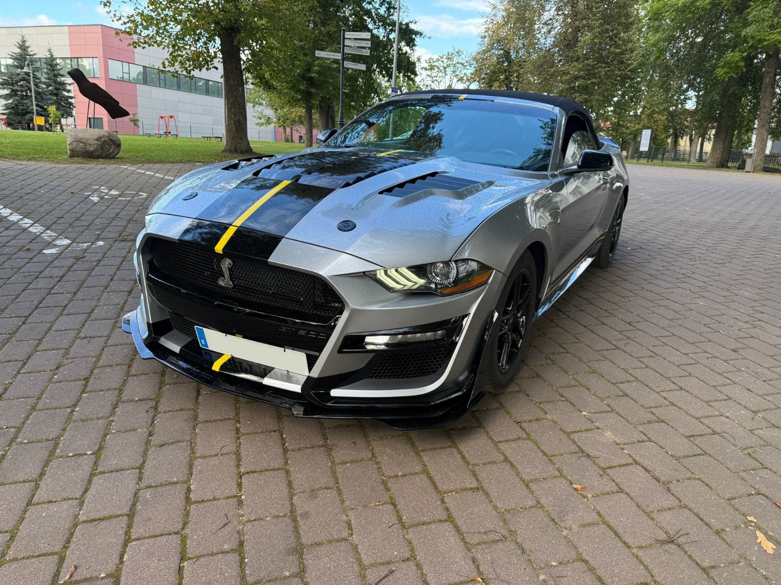 Ford Mustang Cabrio 2.3 EcoBoost (2020) - Ocasión 