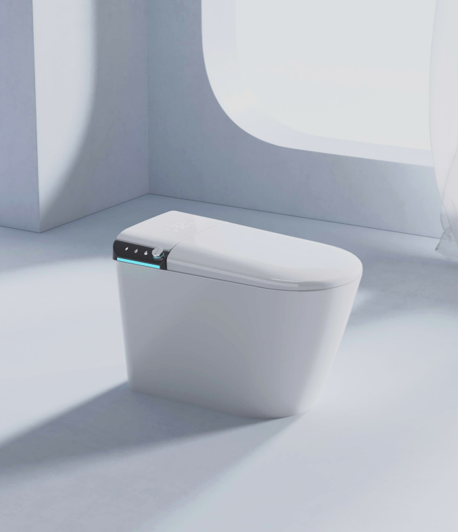Intelligent toilet