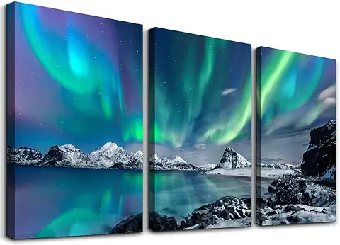 Northern Lights Canvas Wall Art