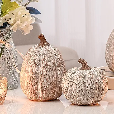 Decorative Textured Pumpkins