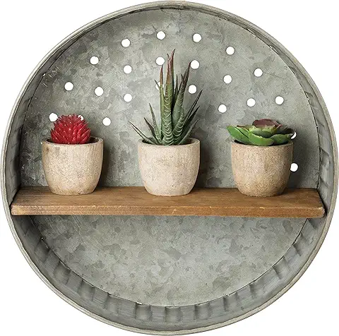Round Metal Wall Shelf with Succulent Planters