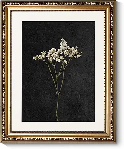Framed Botanical Art Print