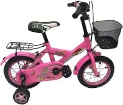 12″ Kids Bicycle – Size 12 Children’s Bike with Training Wheels & Front Basket (Pink Edition)”