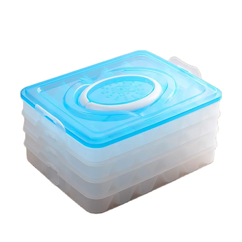Double Layer Egg Storage Box - 24 Capacity