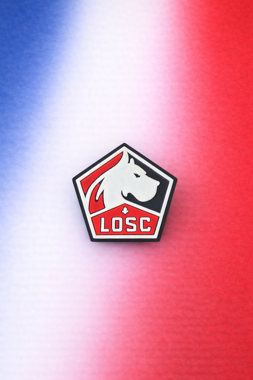 Charms logo LOSC