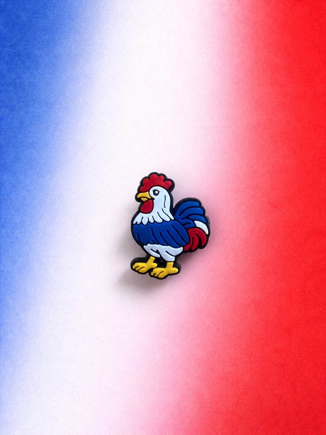Charms Coq Français