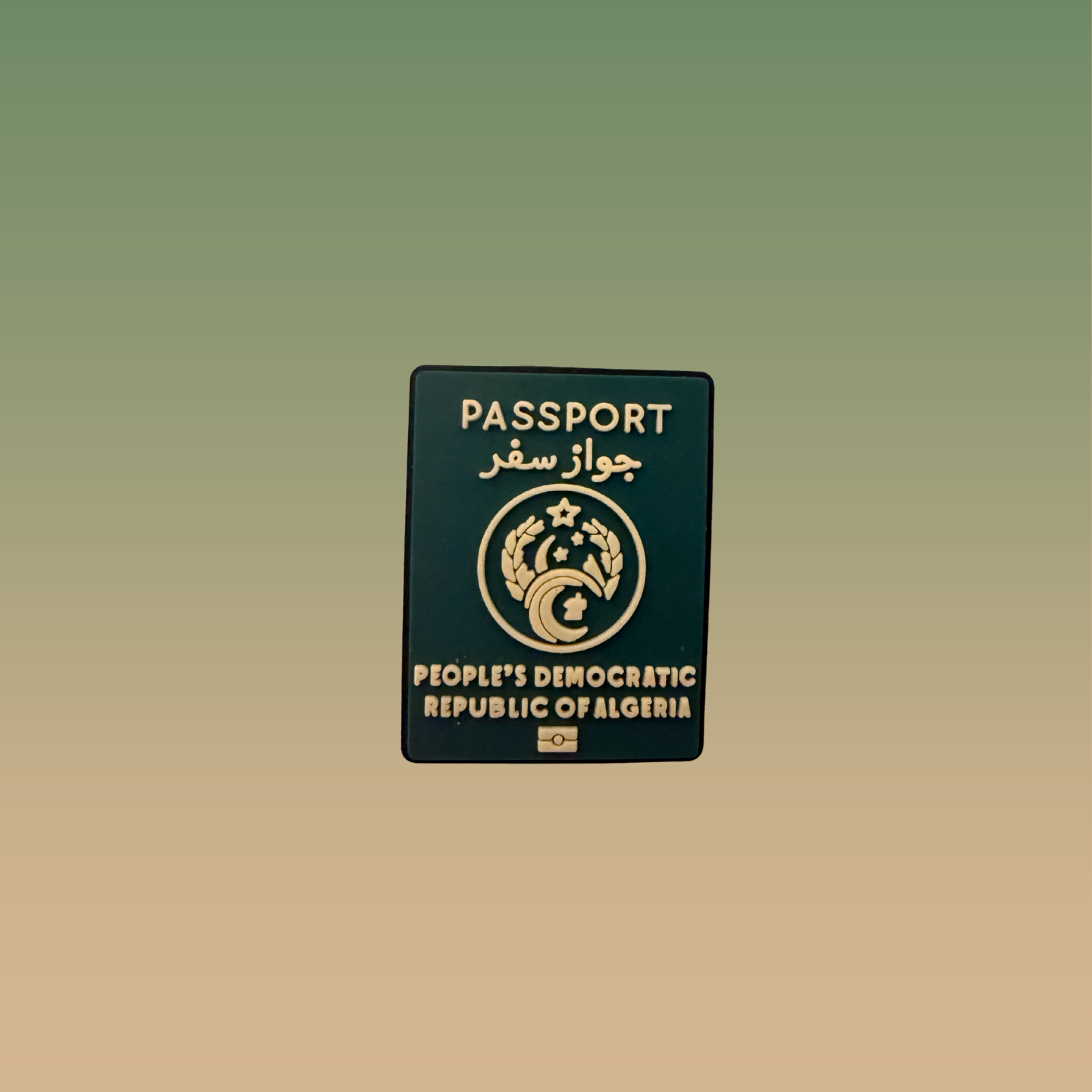 🇩🇿  Charms Passeport Algérien – Charme Unique pour Crocs