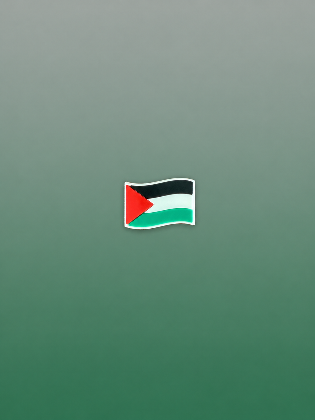 Charms Drapeau Palestinien