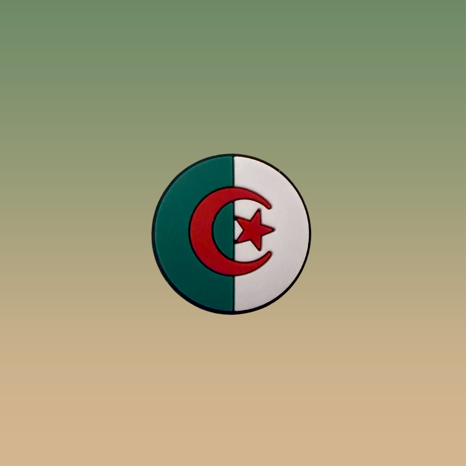 🇩🇿  Charms Drapeau Rond de l’Algérie – Charme Patriotique pour Crocs