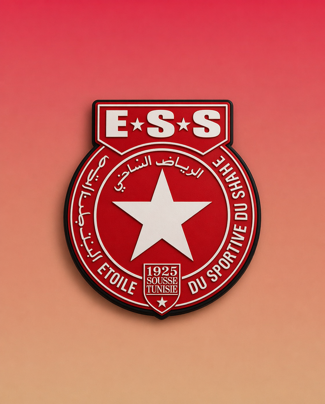Charms Logo ESS