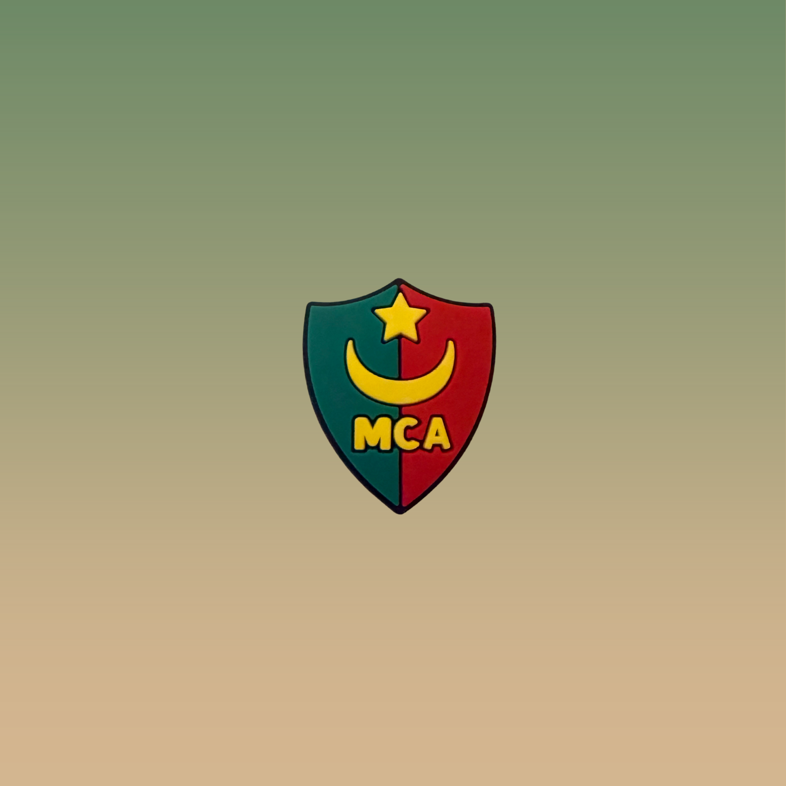 ❤️💚 Charms MCA – Charme du Mouloudia Club d’Alger pour Crocs