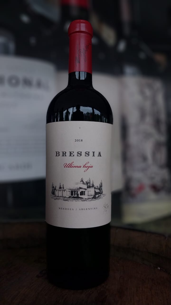 VINHO TINTO BRESSIA ÚLTIMA HOJA