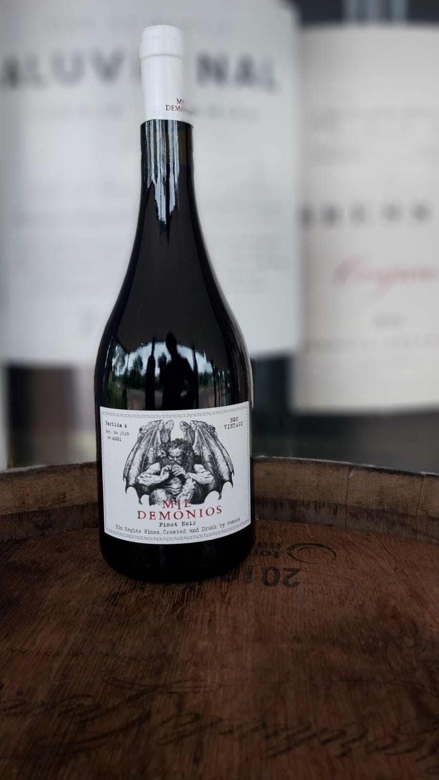 VINHO TINTO MIL DEMONIOS PINOT NOIR