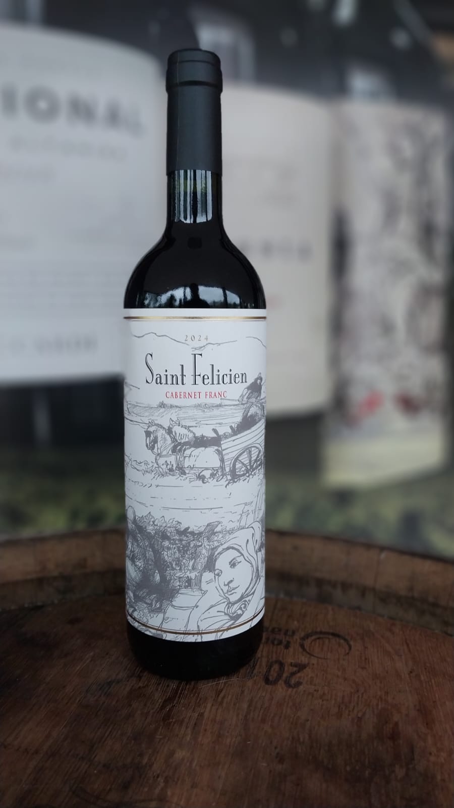 VINHO TINTO SAINT FELICIEN CABERNET FRANC