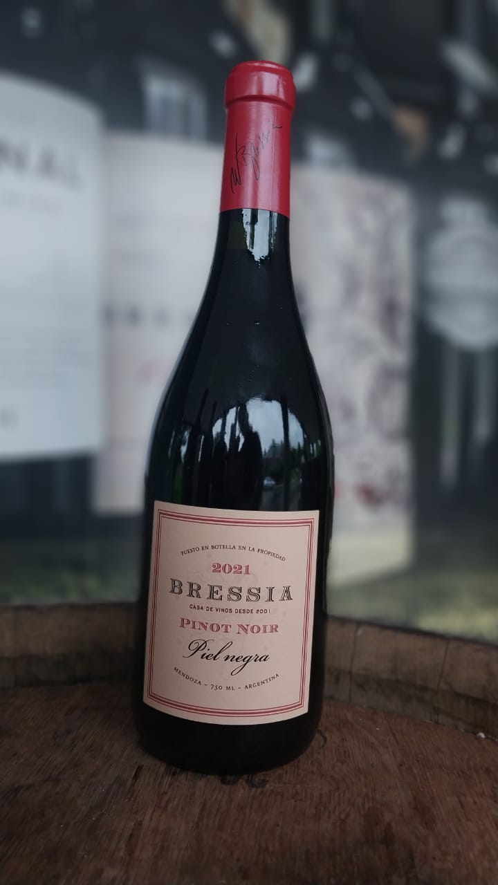 VINHO TINTO BRESSIA PIEL NEGRA PINOT NOIR