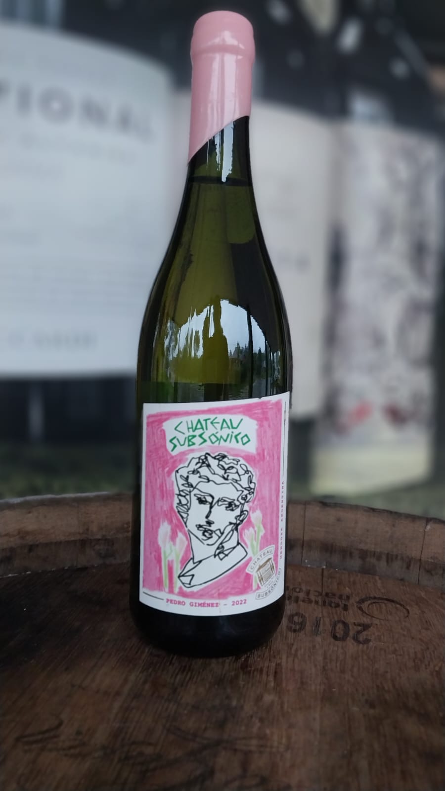 VINHO BRANCO CHATEAU SUBSÓNICO BLANCO