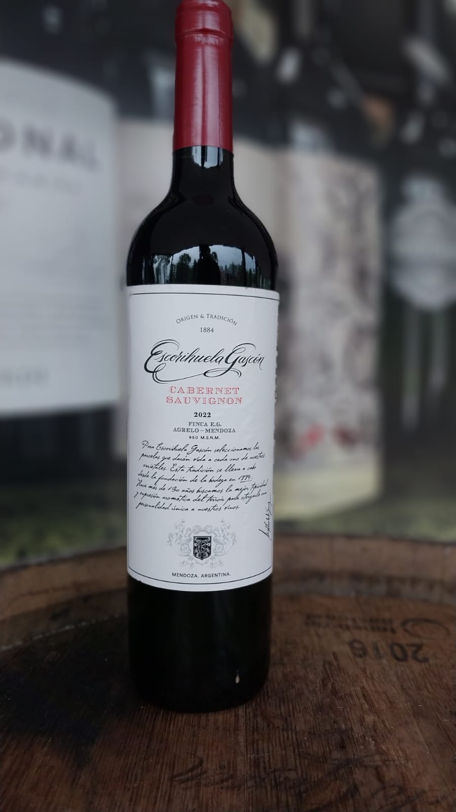 VINHO TINTO ESCORIHUELA GASCÓN CABERNET SAUVIGNON