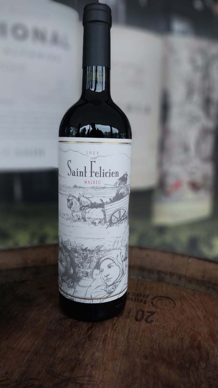 VINHO TINTO SAINT FELICIEN MALBEC