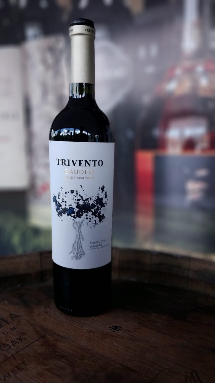 VINHO TINTO TRIVENTO GAUDEO MALBEC TUNUYÁN
