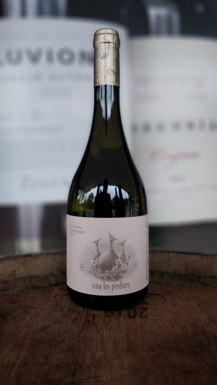 VINHO BRANCO LAS PERDICES RESERVA CHARDONNAY 