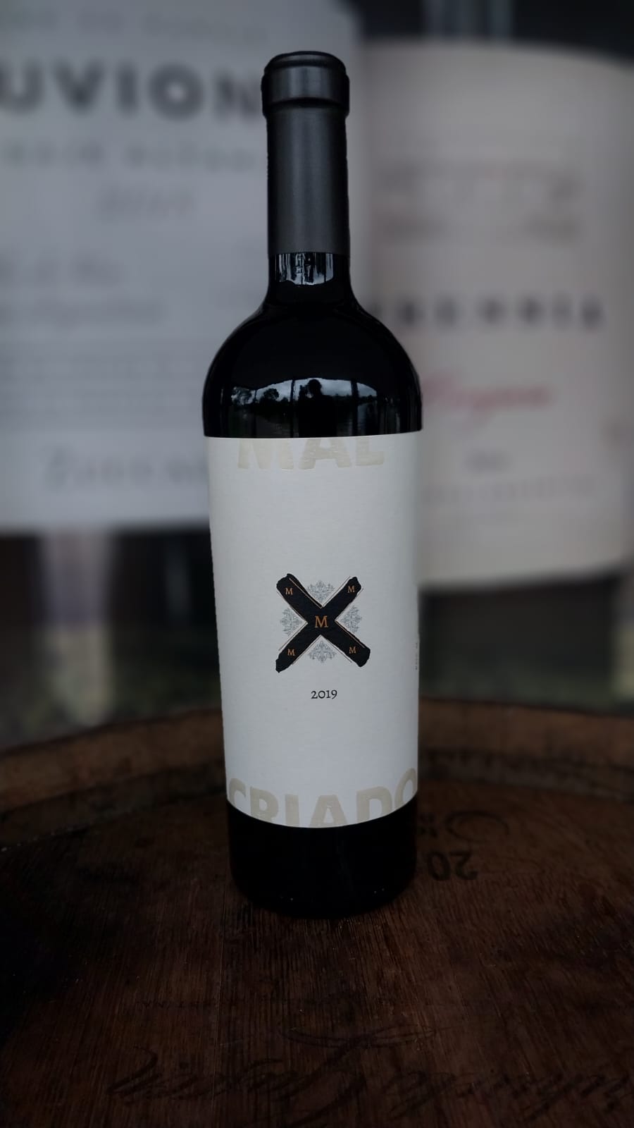 VINHO TINTO MOSQUITA MUERTA MALCRIADO MALBEC