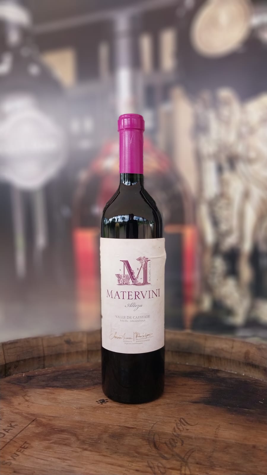 VINHO TINTO MATERVINI ALTEZA MALBEC