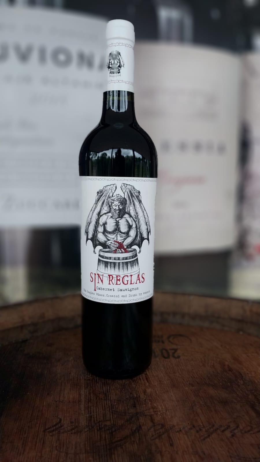 VINHO TINTO MIL DEMONIOS SIN REGLA CABERNET SAUVIGNON