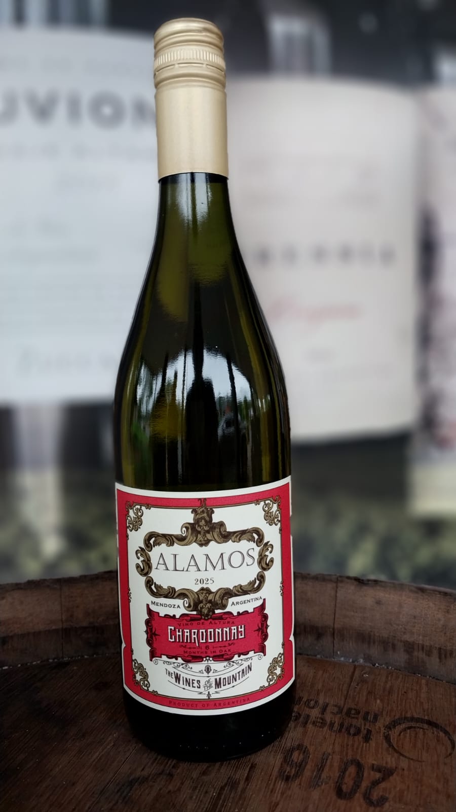 VINHO BRANCO ALAMOS CHARDONNAY